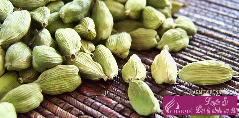 Bạch đậu khấu (Cardamon)