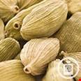 Bạch đậu khấu trắng