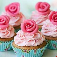Bánh Cupcake