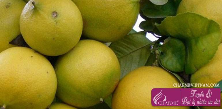Cam Bergamot