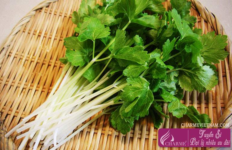 Cây cần tây