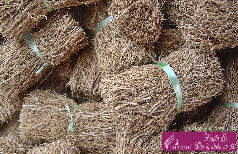 Cỏ hương bài Tihiti