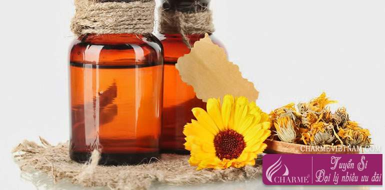 Hoa cúc vạn thọ Anh