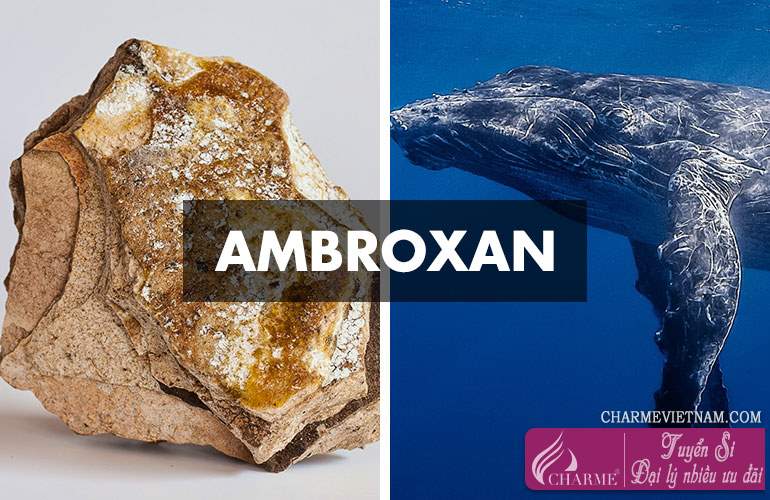 Hương Ambroxan
