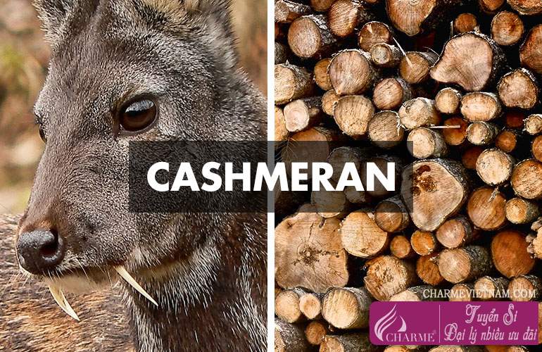 Hương Cashmeran