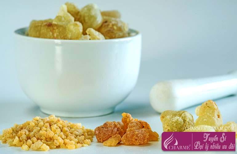Hương Choya Loban