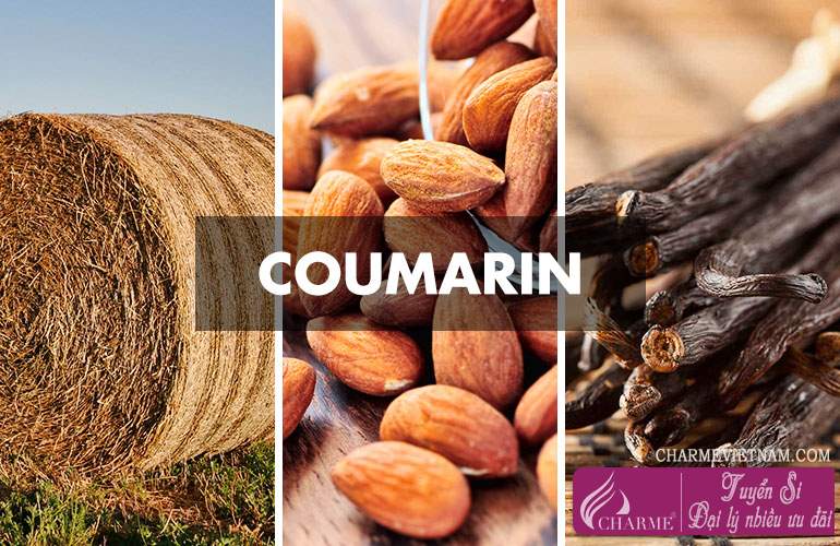 Hương Coumarin