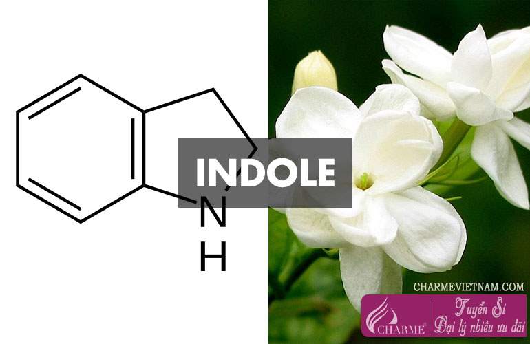 Hương Indole