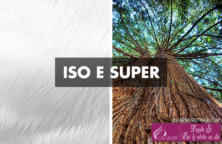 Hương Iso E Super