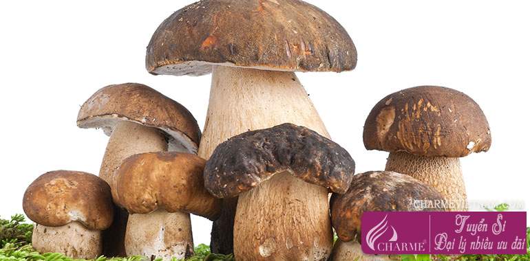 Nấm Cepes