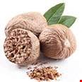 Nhục đậu khấu Indonesia