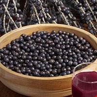 Quả Acai