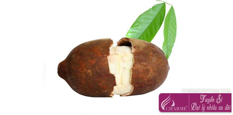 Quả Cupuacu, Cupuassu, Copoasu