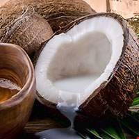 Quả dừa