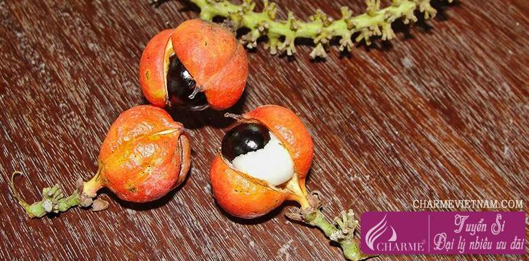 Quả Guarana