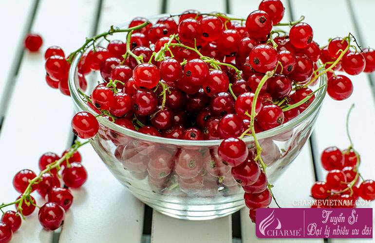 Quả lý chua đỏ Trung Quốc