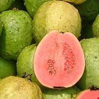 Quả ổi