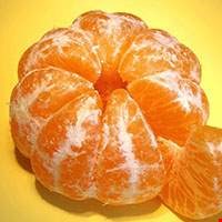 Quả quýt hồng vàng