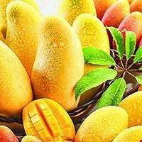 Quả xoài Ấn Độ
