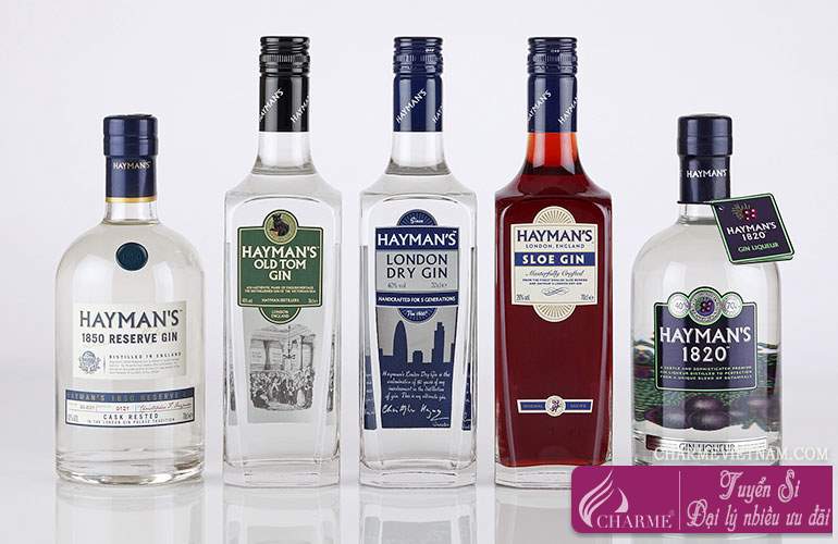 Rượu Gin